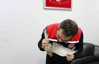 Erzincan’da ekipler, kerkenez için seferber oldu