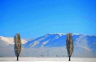Erzurum’da zemheri soğuklar