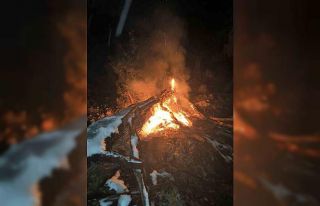 Feke’de çıkan orman yangını söndürüldü