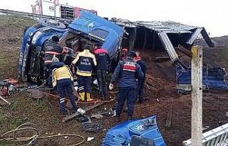 Freni boşalan tır şarampole uçtu: Araçta sıkışan...