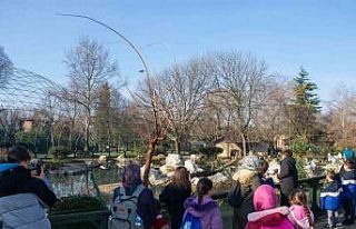 Genç sporcular hayvanat bahçesine hayran kaldı