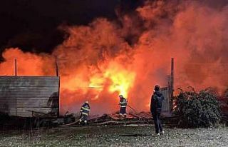 Geri dönüşüm tesisindeki yangın korkuttu