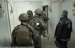 Göçmen kaçakçılığı için bot üreten çeteye...