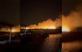 Göksu Deltası’nda yangın