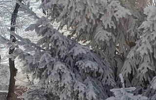 Göle’de hava eksi 27,7 derece: Araçlar soğuktan...