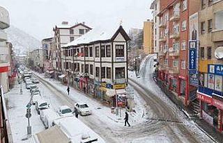 Gümüşhane’de kar yağışı etkili oldu