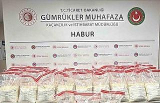 Habur Gümrük Kapısı’nda 370 kilo uyuşturucu...
