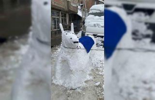 Hakkari esnafı kardan eşek yaptı