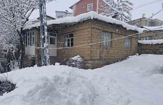 Hakkari’de 31 yerleşim yerinin yolu kapandı