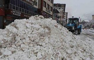Hakkari’de "Kar Timi" görev başında