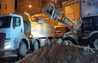 Hakkari’de kar yığınları şehir dışına çıkartılıyor