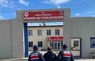 Hapis cezası ile aranan şahsı jandarma yakaladı