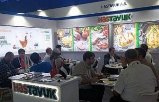 HasTavuk bir kez daha dünya arenasında