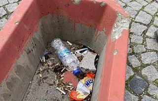 İçerisinde çiçek olması gereken saksının içini...