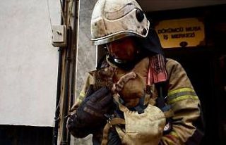 İş hanında çıkan yangın erken müdahale ile...