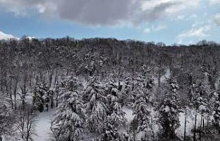 İstanbul’da kar yağışı aralıklarla devam ediyor