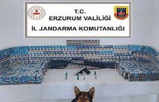 Jandarmadan kaçak sigara operasyonu