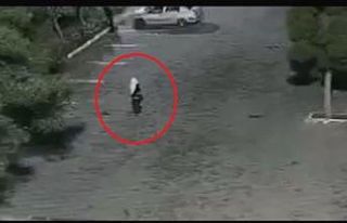 Kadın kılığındaki erkek şüpheli hırsız kamerada