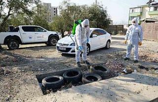 Kahramanmaraş’ta zararlılara karşı kış baskını