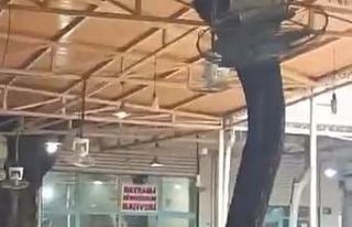 Kahvehanede kavga: Sandalye ve yumruklar havada uçuştu