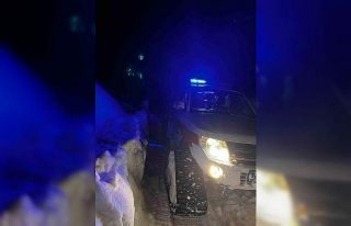 Kar nedeniyle yolu kapanan köydeki hasta, paletli...