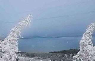 Kar yağışı Sapanca Gölü’ne bereket oldu: Gölde...