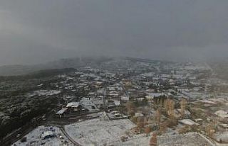 Kar yağışıyla beyaza bürünen Aydos Ormanı havadan...