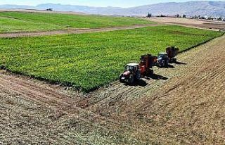 Kar yağışları bu sene çiftçinin yüzünü güldürecek