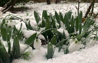 Karaman, beyaza büründü