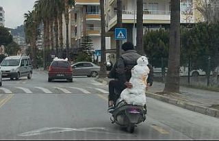 Kardan adamı motosikletle taşıdı