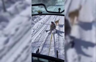 Karın keyfini çıkarırken köpek kovaladı: O anlar...