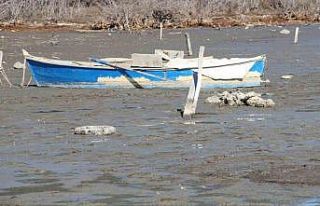 Karina’da deniz 30 metre çekildi