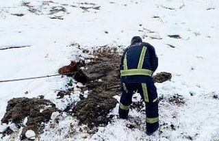 Kayseri OSB İtfaiyesi bataklığa saplanan yılkı...