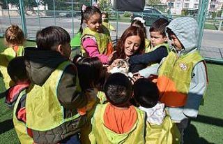 Kayseri’de ilk olan Küçük Dostlar Kedi Kasabası’na...