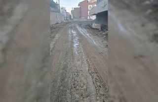 Kayyumun yaptığı yolu DEM Partili belediye bozdu,...