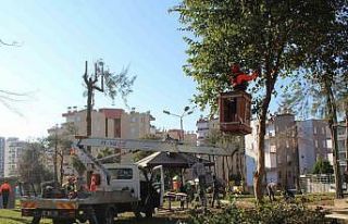 Kepez Belediyesi’nden Çankaya Mahallesi parkına...