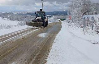 Kırsalda yolların kapanmaması için ekipler seferber