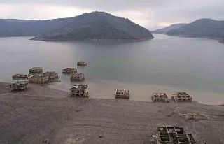 Kızılcapınar Barajı’nda sular çekilince terk...