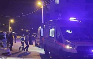 Komşuların gürültü kavgasında 2 kardeş tüfekle...