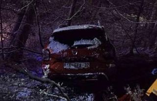 Kontrolden çıkan otomobil şarampole yuvarlandı:...