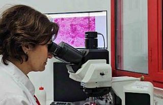 Kontrolsüzce çevreye bırakılan etler "kist...