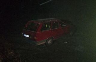 Köpeğe çarpmamak için manevra yapan otomobil tarlaya...