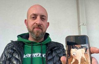 Köpeğini bulana 50 bin TL vereceğini duyuran adamın...
