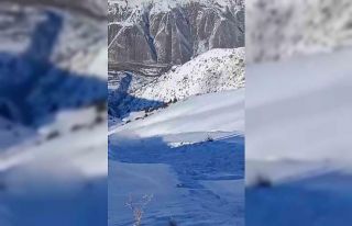 Köylerindeki Riskli Çığı Kendileri İndirdiler:...