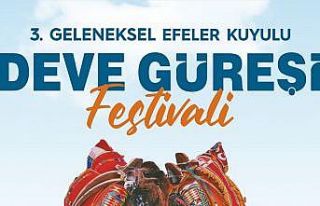 Kuyulu Deve Güreşleri 23 Şubat Pazar günü yapılacak