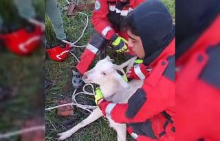 Kuyuya düşen keçiyi itfaiye ekipleri kurtardı