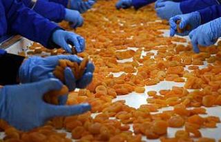 Malatya kayısı ihracatında 100 bin ton hedefine...