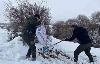 Malatya’da yaban hayvanları için yemleme çalışması