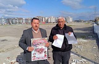 Manisa’da cami yararına yapılacak olan deve güreşleri...