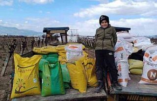 Manisa’da üzüm bağlarına kışlık gübre veriliyor